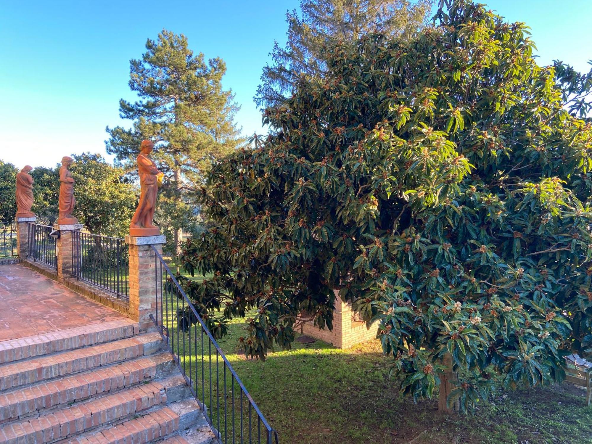 Casaletolfe Residence Siena Zewnętrze zdjęcie